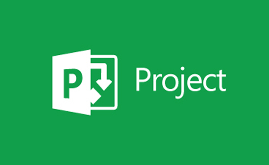 Microsoft Project - The Fundamentals - Purple Path